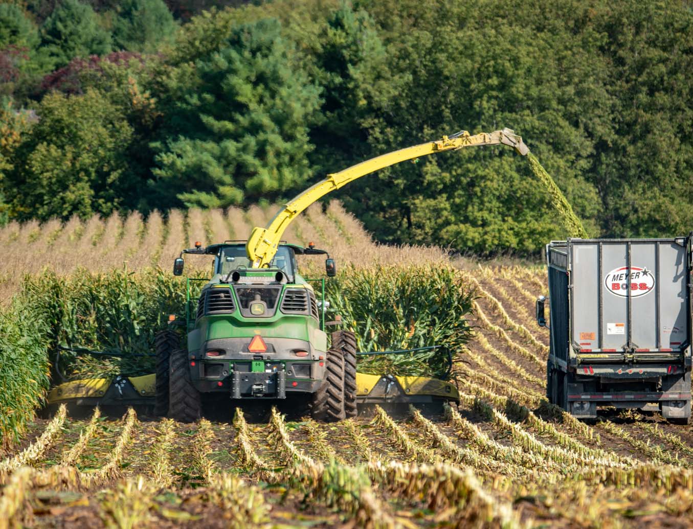 harvesting