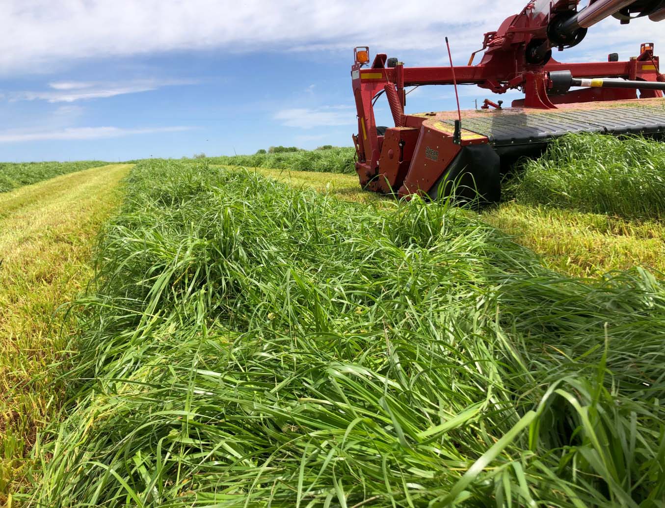 harvester in field