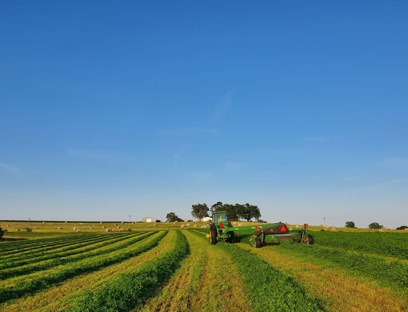 harvesting grass
