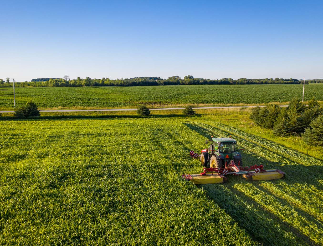 field